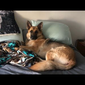 Meet your Posher, Tabitha